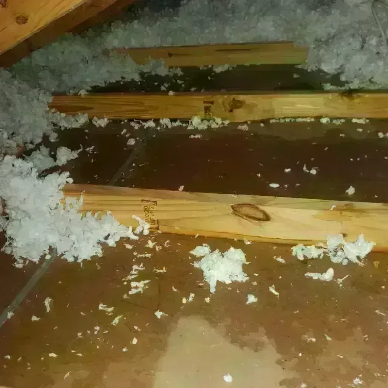 Attic Water Damage in Frederic, WI