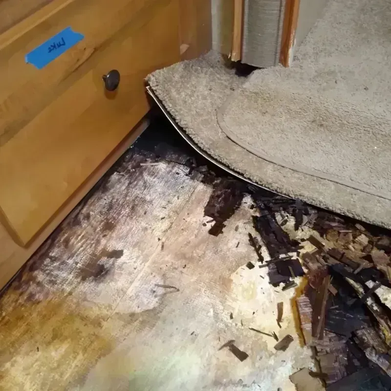 Wood Floor Water Damage in Frederic, WI